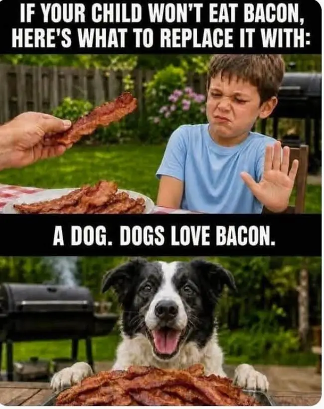 bacon.webp
